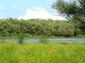 Lacul Pochina - suceveni